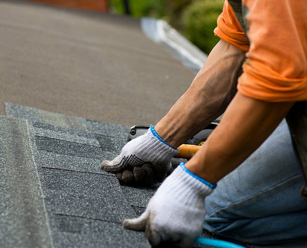Best Shingle Roofing Installation  in Minot Af, ND