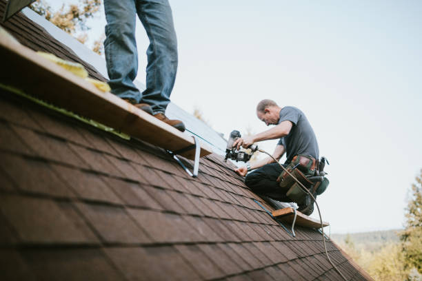 Best Roof Repair Services  in Minot Af, ND